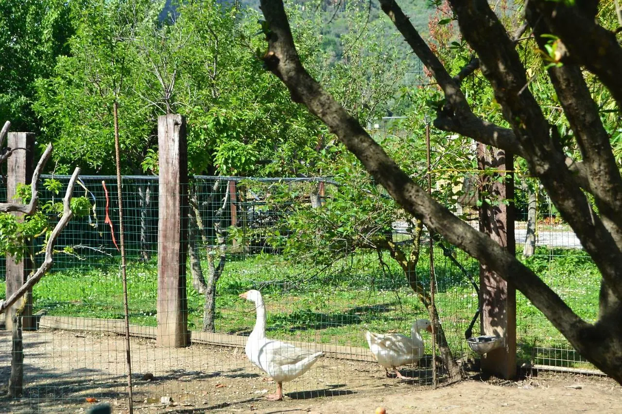 ***  Il Pruno Bed & Breakfast San Giuliano Terme Italy